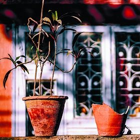 Надо же, как интересно получилось 