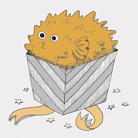 7 элементов, которые нельзя вкладывать в подарки