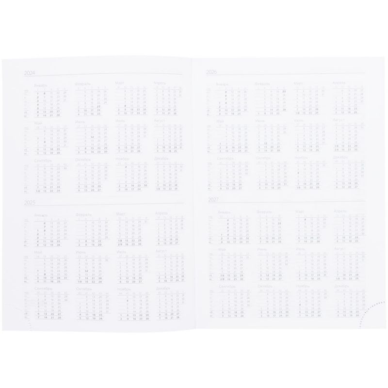 Ежедневник Vivian Metal, недатированный, оранжевый