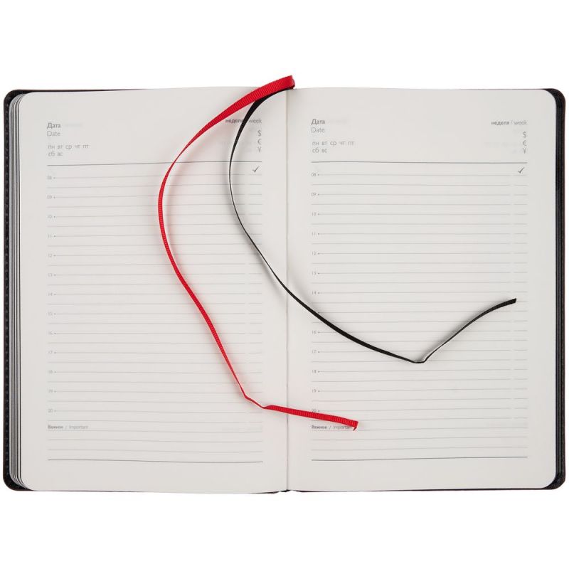 Ежедневник Alanis, недатированный, черный с красным