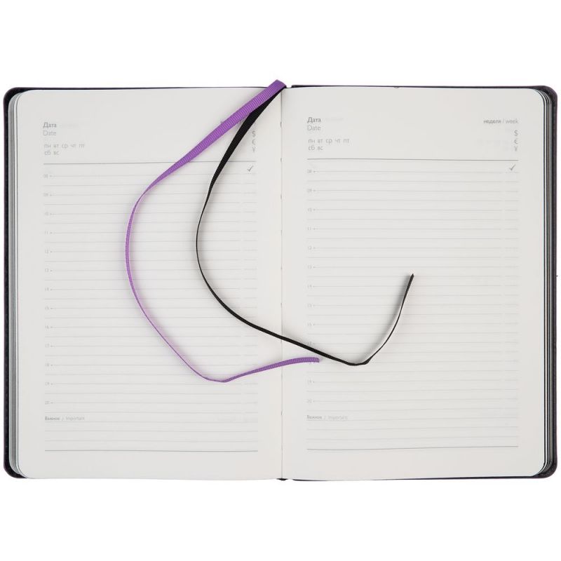 Ежедневник Alanis, недатированный, черный с фиолетовым