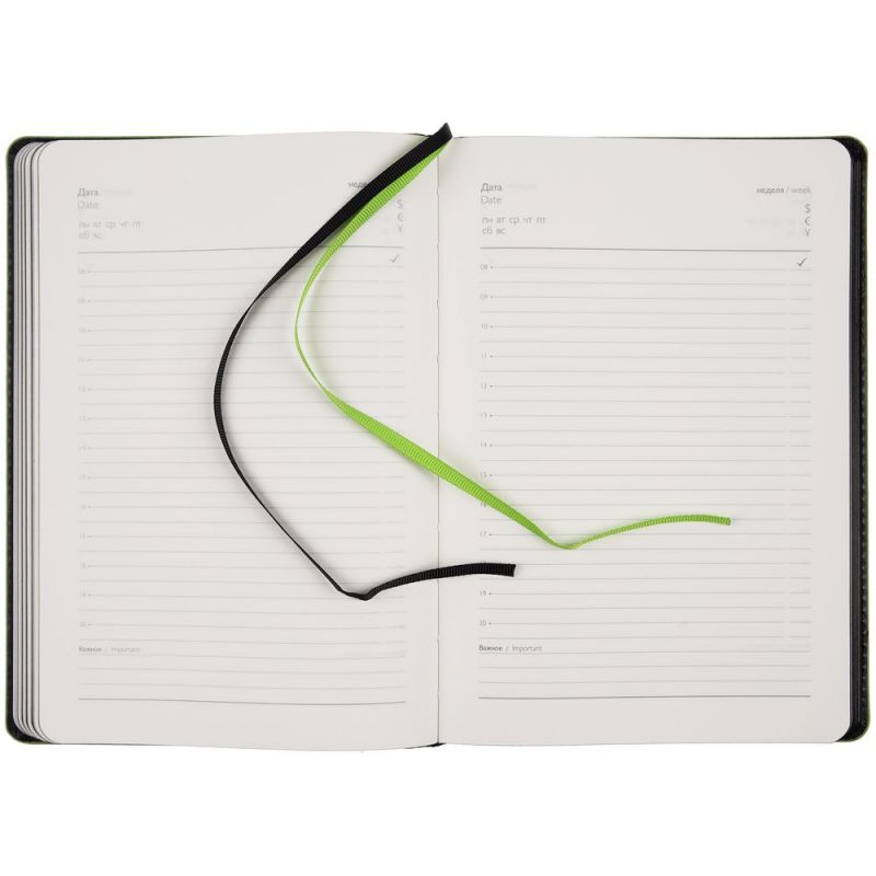 Ежедневник Alanis, недатированный, черный с зеленым