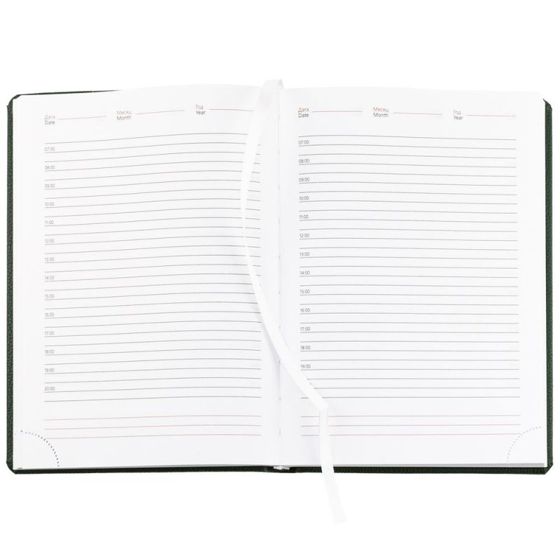 Ежедневник Sagrin, недатированный, зеленый