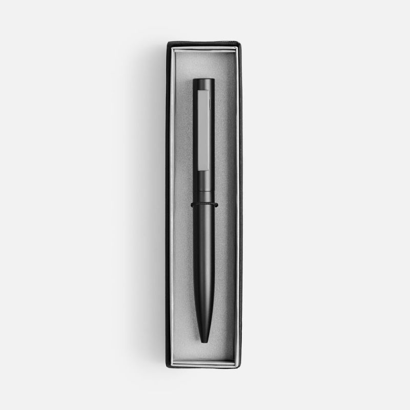 Ручка шариковая Inkolor в футляре, черная с серым