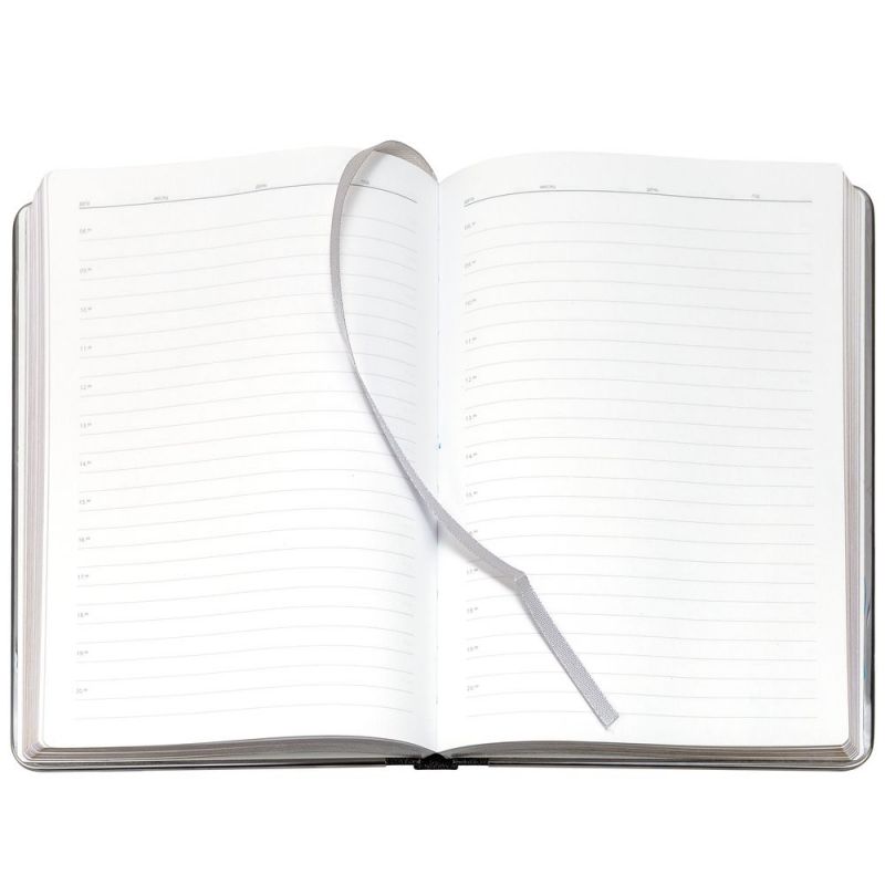 Ежедневник Frame Metal, недатированный, серый Ежедневник Frame Metal, недатированный, серый