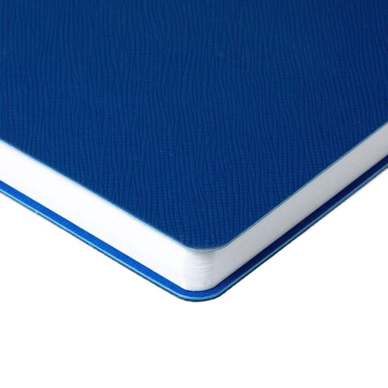 Ежедневник Flexpen Bright, недатированный, синий Ежедневник Flexpen Bright, недатированный, синий