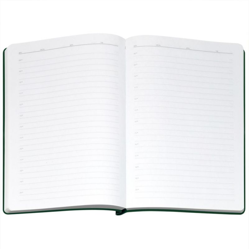 Ежедневник Flexpen Bright, недатированный, зеленый