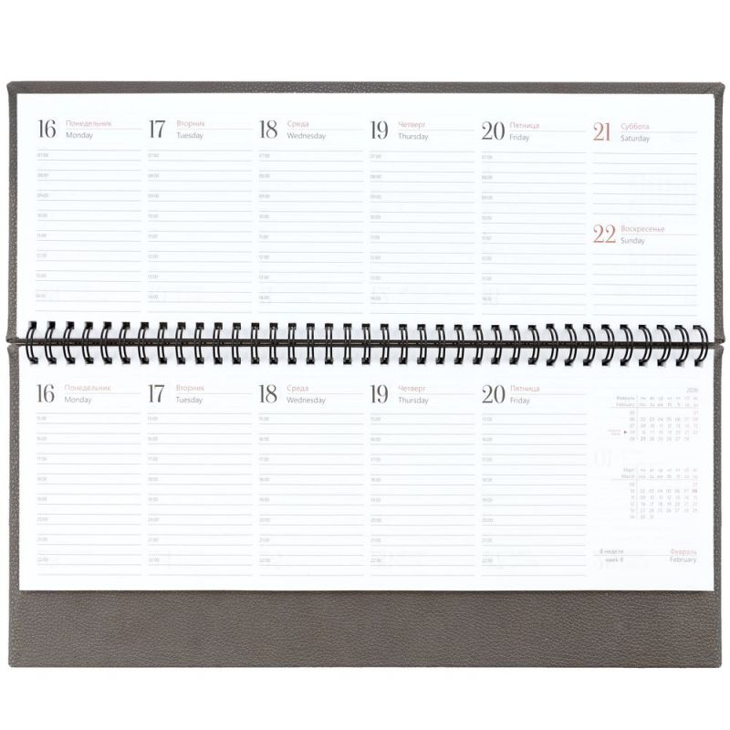 Планинг Sagrin, датированный, серый Планинг Sagrin, датированный, серый