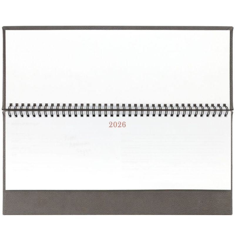 Планинг Sagrin, датированный, серый Планинг Sagrin, датированный, серый