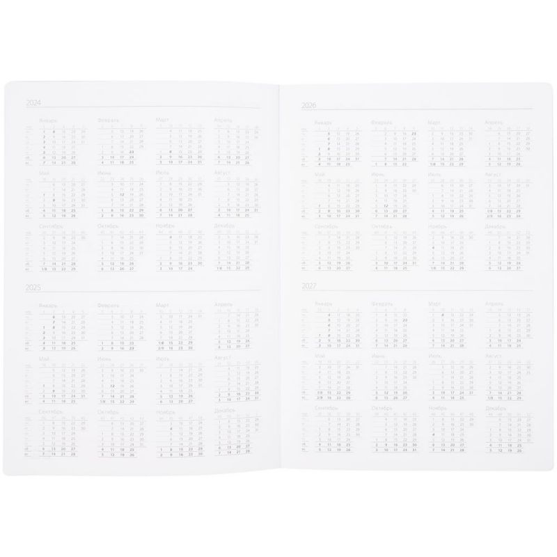 Ежедневник Nebraska Flex, недатированный, черный с золотистым