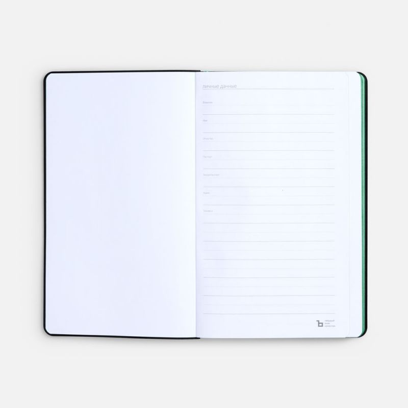 Ежедневник Nice Twice, недатированный, черный с ярко-зеленым
